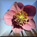 sample photo